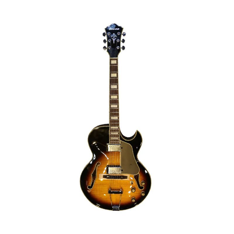 Ibanez Ibanez / AKJ95-VYS 爵士空心電吉他 — 三峽電吉他
