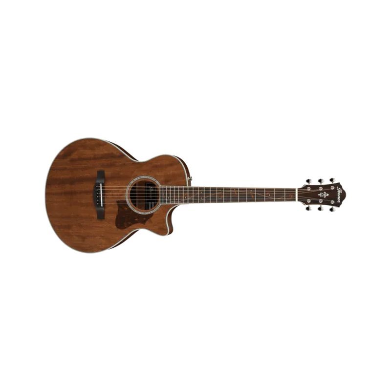 Ibanez Ibanez AE245JR 旅行吉他 胡桃木 面單 — 三峽木吉他 / 民謠吉他
